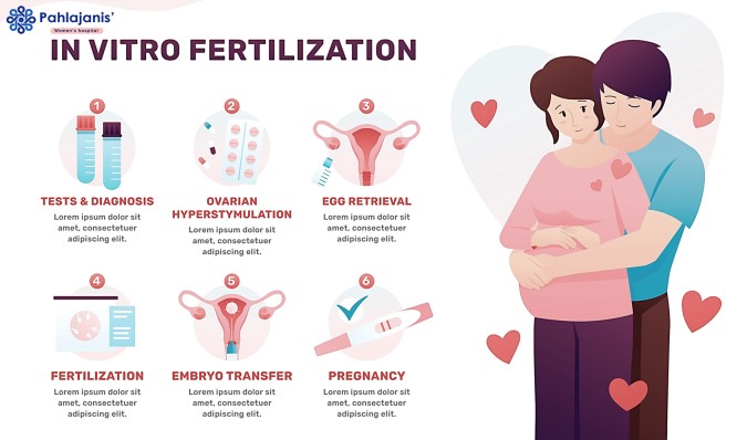 Second IVF Attempt? Here’s How to Boost Your Success Rate